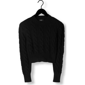 Ibana Tamra Truien & vesten Dames - Sweater - Hoodie - Vest- Zwart - Maat 34