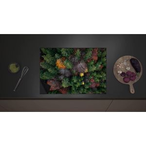 Inductie Beschermer - Bovenaanzicht van Coniferen Bomen in Verschillende Kleuren - 70x52 cm - 2 mm Dik - Inductieplaat Beschermer met zwarte kern