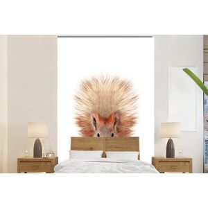 Eekhoorn - Dieren - Natuur - Oranje - Wit - Behangpapier