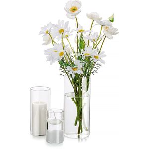 Decoratieve vaas, glazen cilinder, tafeldecoratie, 4 stuks, bloemen, vazen, set, moderne glazen vaas, ronde glazen cilinder, bloemenvaas, tulpenvaas, tafelvaas, voor bruiloft, woonkamer, tulpen, roos, 10/15/20 cm hoog