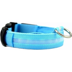 Lichtgevende Halsband LED Maat XL 42 - 56 cm USB Oplaadbaar Hondenhalsband Puppy Riem - Blauw Hond Dog Kat Kitten Cat - Dutchwide