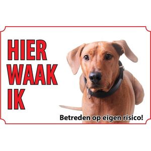 Bord - Hond Rhodesian Ridgeback