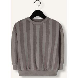 PLAY UP Printed Fleece Sweater P Truien & Vesten Jongens - Sweater - Hoodie - Vest- Taupe - Maat 116