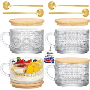 Vintage Glass Coffee Mugs 14 oz with Bamboo Lids-Spoon-Embossed Clear Latte Glasses Cappuchino glazen