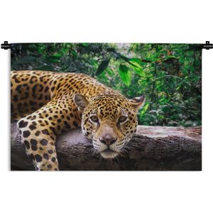Wandkleed Diep in de jungle - Jaguar rust uit Wandkleed katoen 150x100 cm - Wandtapijt met foto