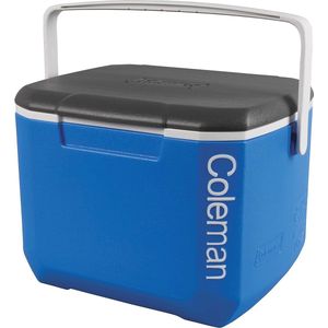 Geïsoleerde koelbox 15 liter - Hoogwaardige draagbare koelbox voor kamperen en buitenactiviteiten