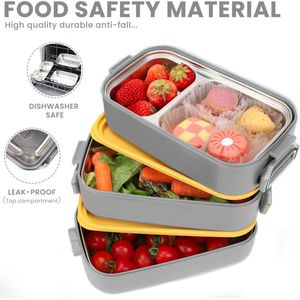 Box Container - lunchbox \ lunchbox adult