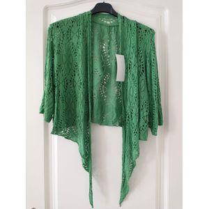 Dames Vest - Licht Smaragdgroen - Bolero Model