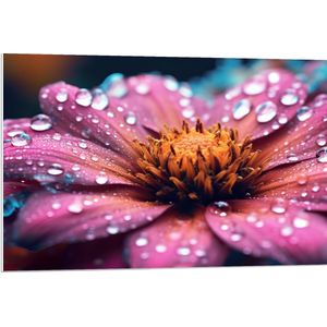 PVC Schuimplaat- Bloem - Duppels - Closeup - 90x60 cm Foto op PVC Schuimplaat