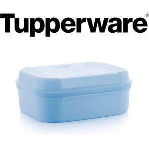 Tupperware varia- scharnierdoos lichtblauw