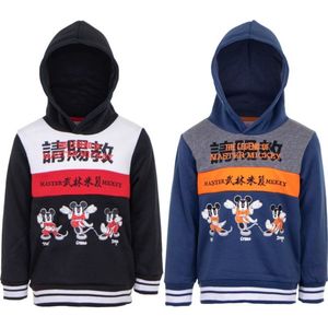 Disney - Mickey mouse trui - The legend of Master Mickey