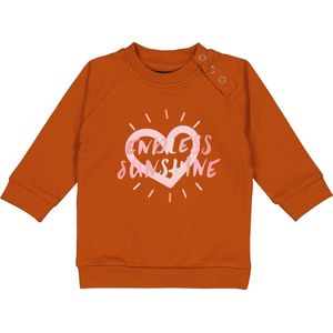 4PRESIDENT Sweater meisjes - Spice Route - Maat 74 - Meisjes trui