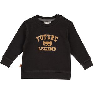 Frogs and Dogs - Little Hero Baby Sweater Legend | Raven - Katoen - Maat 62