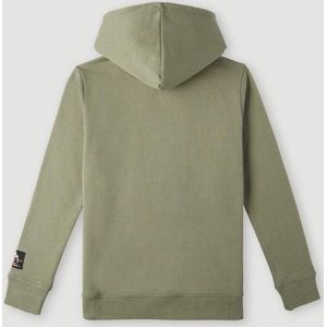 O'neill Truien SEAVIEW HOODIE