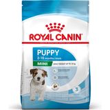 Royal Canin Mini Junior - 800 GR