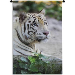 Wandkleed Roofdieren - Close-up witte tijger tegen vervaagde achtergrond Wandkleed katoen 120x180 cm - Wandtapijt met foto XXL / Groot formaat!