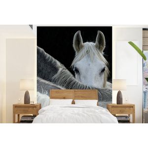 Paarden - Dieren - Zwart - Wit