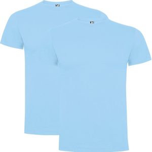 Licht Blauw 2 pack Premium t-shirts Roly Dogo maat S