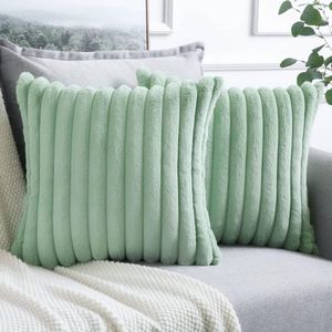 Allecto plus - Set van 2 luxe fluwelen kussenslopen - Zacht kunstbont - Voor bank en slaapkamer - 45 x 45 cm - Lichtgroen