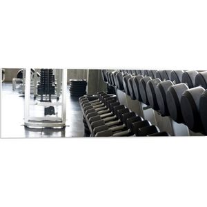 PVC Schuimplaat- Rij Dumbells op Rek in Sportschool - 90x30 cm Foto op PVC Schuimplaat