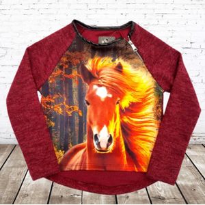 Rood meisjes truitje met paard -s&C-98/104-Trui meisjes