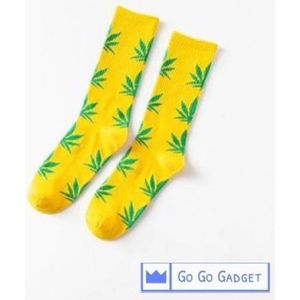 wiplala , kledingset , tshirt geel + lange broek groen , meisje  6 maand  68