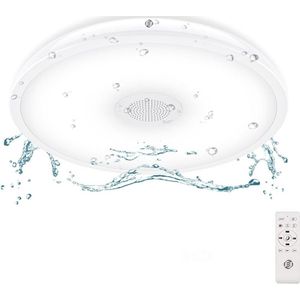 Equivera Plafonaire Lamp - Lamp - Plafond Lamp - Plafonnaire Lamp - Plafondlamp