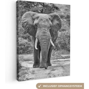 OneMillionCanvasses - Canvas - Olifant - Zwart-wit - Slagtanden - Grote oren - Kamer decoratie - Canvas doek - 60x80 cm