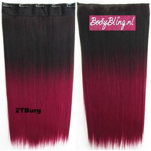 Clip in hairextensions 1 baan straight 2TBurg