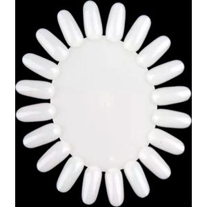 Nail Swatches 20 colors Beige