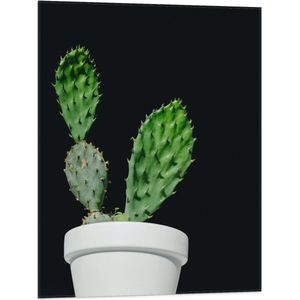Vlag - Cactus - Plant - Bloempot - 60x80 cm Foto op Polyester Vlag