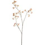 Fleurdirect - Kunsttak Euonymus - Kunststof - Creme - 0 x 90 x 0 cm (BxHxD)