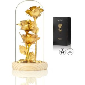 Luxe Roos in Glas met LED – Gouden Roos in Glazen Stolp – Moederdag - Cadeau voor vriendin moeder haar - Goud 3x met Blaadjes - Lichte Voet – Qwality
