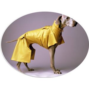 PVC Schuimplaat Ovaal - Zijaanzicht van Duitse Dog Hond in Gele Regenjas - 40x30 cm Foto op Ovaal (Met Ophangsysteem)