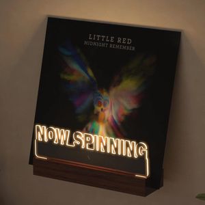 Verlichte Wandhouder voor Platenspelers – Houten Acryl Houder voor Vinyl Album Display en Opslag met Warm Witte Lichten