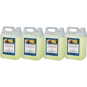 Handzeep Fresh Ginger 5 liter - set van 4 stuks - navulling - Voordeelverpakking