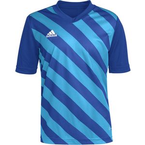 adidas - Entrada 22 GFX Jersey Youth - Blauwe voetbalshirt-140