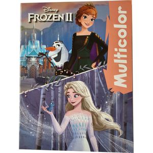 Disney Frozen - kleurboek met 17 kleurplaten en gekleurde illustraties - knutselen - prinsessen - kado - cadeau - verjaardag