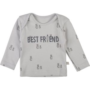 Plum Plum - T-shirt lange mouwen - Bunny - Lichtgrijs