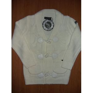 Zu-Yspanici vest 110