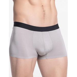 Heren boxershort korte pijpjes trunk MicroModal naadloos hurricane grijs