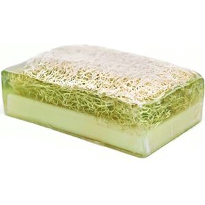 Zeeptabletten 2x Loofah Aloe Vera Zeep - Pompoen vezel - Handmade - 100% Natuurlijk - Voor lichaam - Gezicht - Haar - Handzeep - Badzeep Met spons