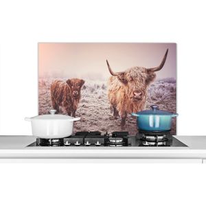 Spatscherm keuken 80x55 cm - Kookplaat achterwand Schotse hooglanders - Licht - Lucht - Natuur - Muurbeschermer - Spatwand fornuis - Hoogwaardig aluminium