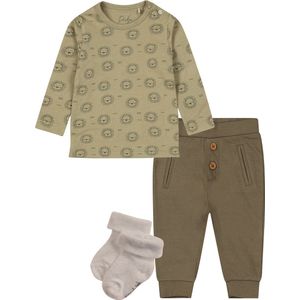 Dirkje - Noppies - Kledingset - Broek Groen - Shirt Groen met leeuwtjes - 1 p sokjes - Maat 74