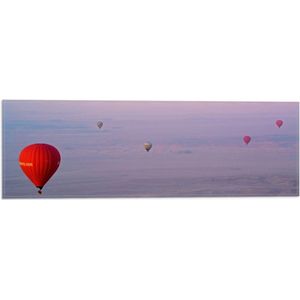 WallClassics - Vlag - Ballonvaarten in Verschillende Luchtballonnen - 60x20 cm Foto op Polyester Vlag