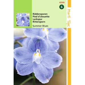 2 stuks - Hortitops - Delphinium Grandiflorum Summer Blues