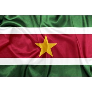 Surinaamse vlag - Suriname - 90 x 150 cm