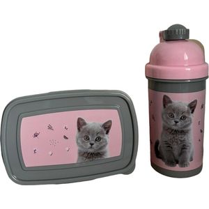 Paso waterfles en broodtrommel - bidon - lunchbox - drinkfles - 550 ml - 18,5x13x6cm - kat poes