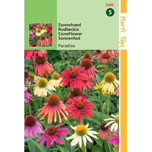 5 stuks - Hortitops - HT Echinacea, Zonnehoed Paradiso