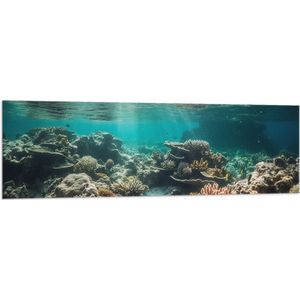 Vlag - Onderwater - Zee - Water - Koraal - Dieren - Kleuren - Zand - 150x50 cm Foto op Polyester Vlag